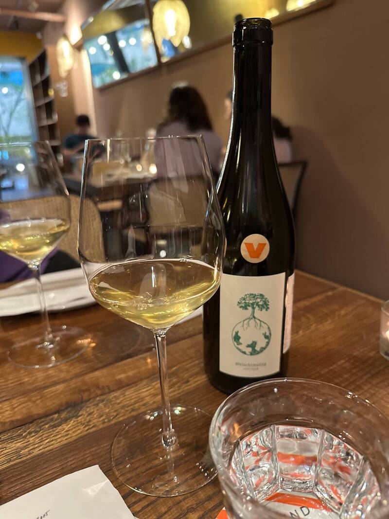신사역맛집