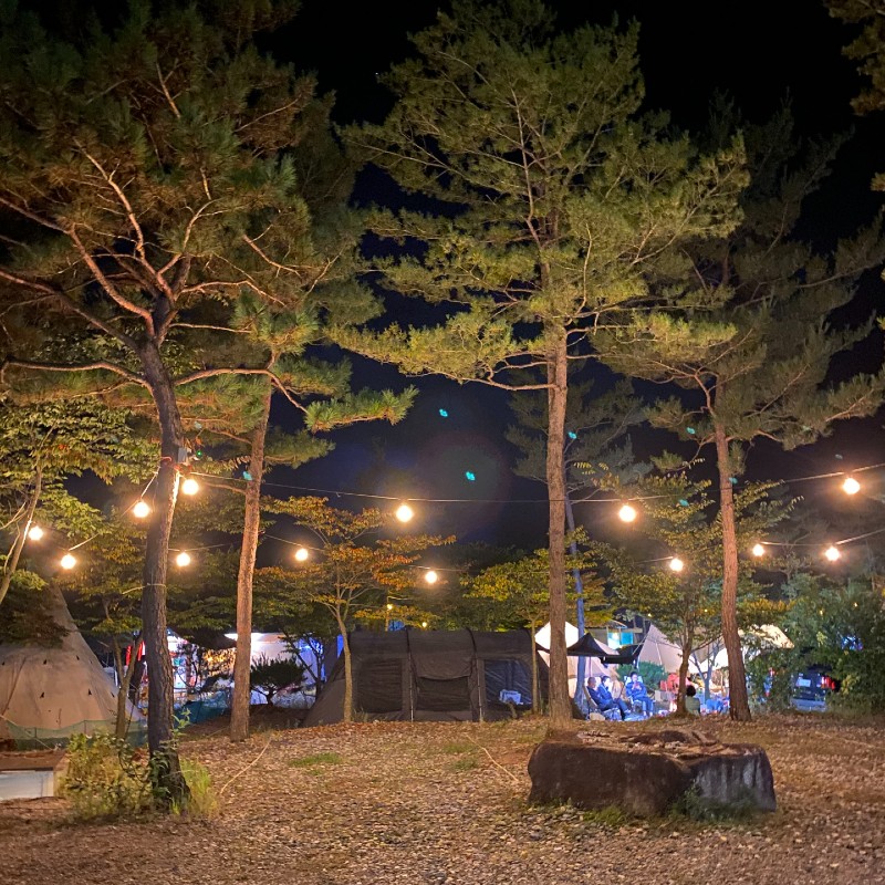 평창 보물섬 캠핑장 전경