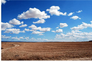 공시지가 조회 사이트 확인 방법