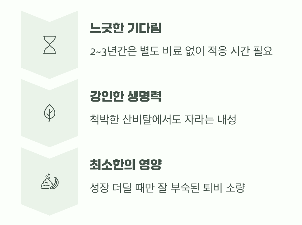 과한 사랑은 금물, 느긋한 기다림의 미학
