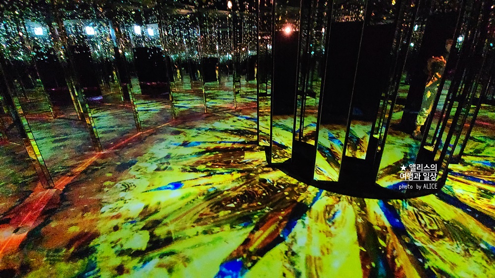 플라워바이네이키드 홍대 놀거리 입장료 23% 할인예매방법, 즐기는 꿀팁 네가지