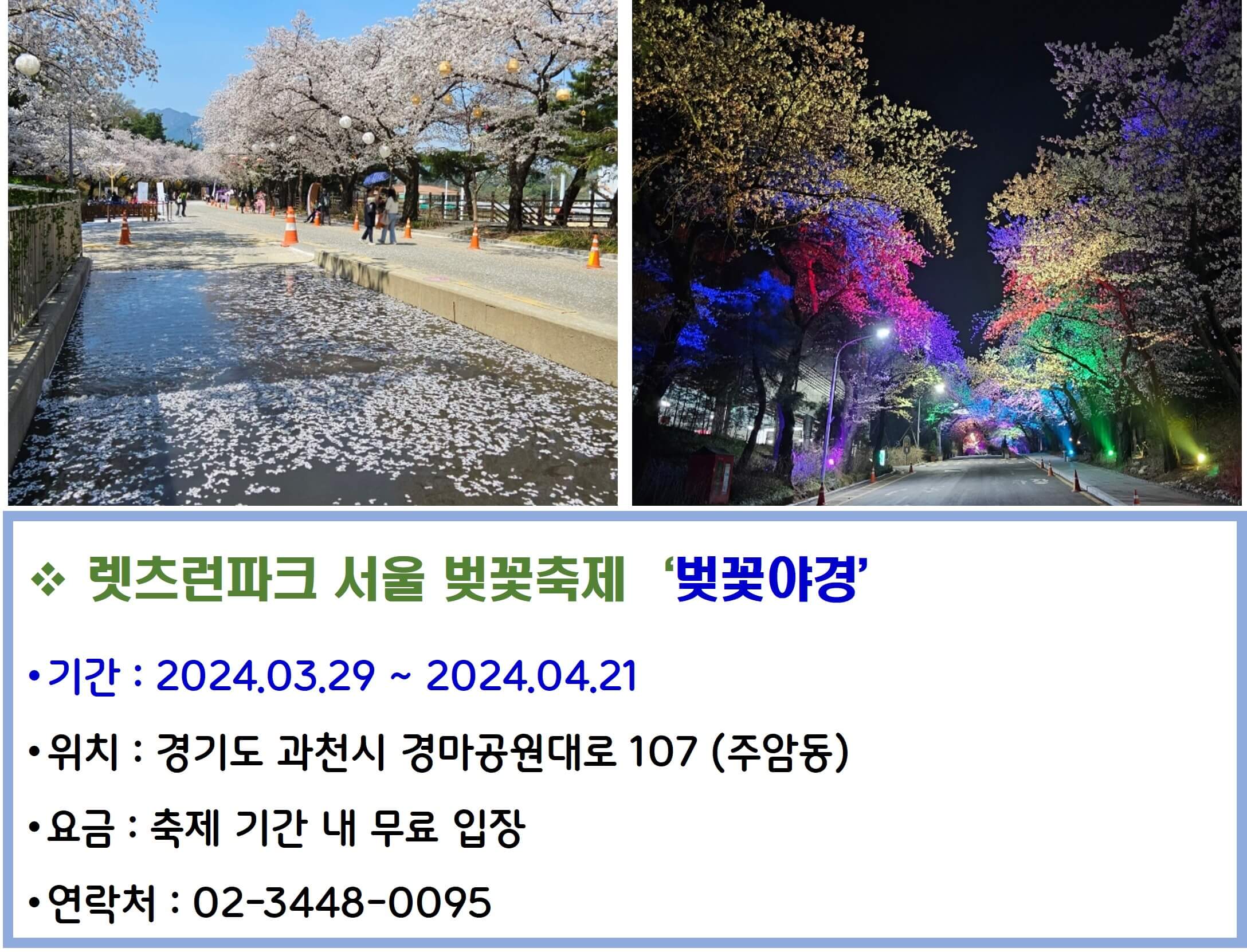 렛츠런파크 서울 벚꽃축제 벚꽃야경