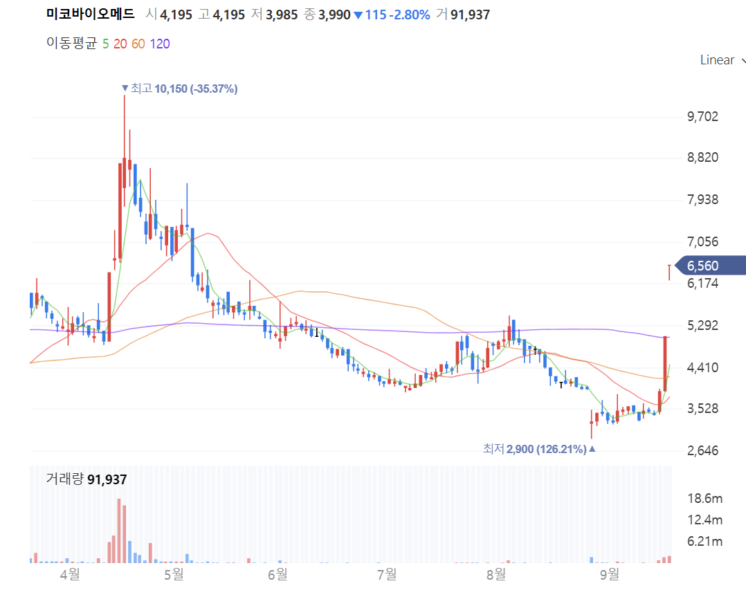 주식 차트