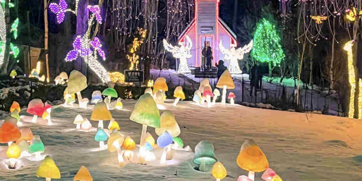 아침고요수목원 오색별빛정원전