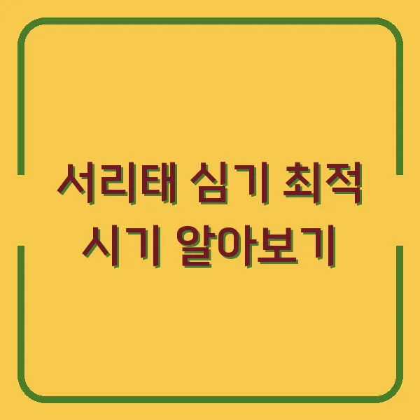 법인카드 사용 내역 확인 방법 안내