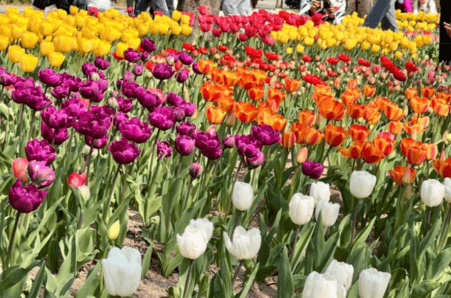 부천 무릉도원수목원