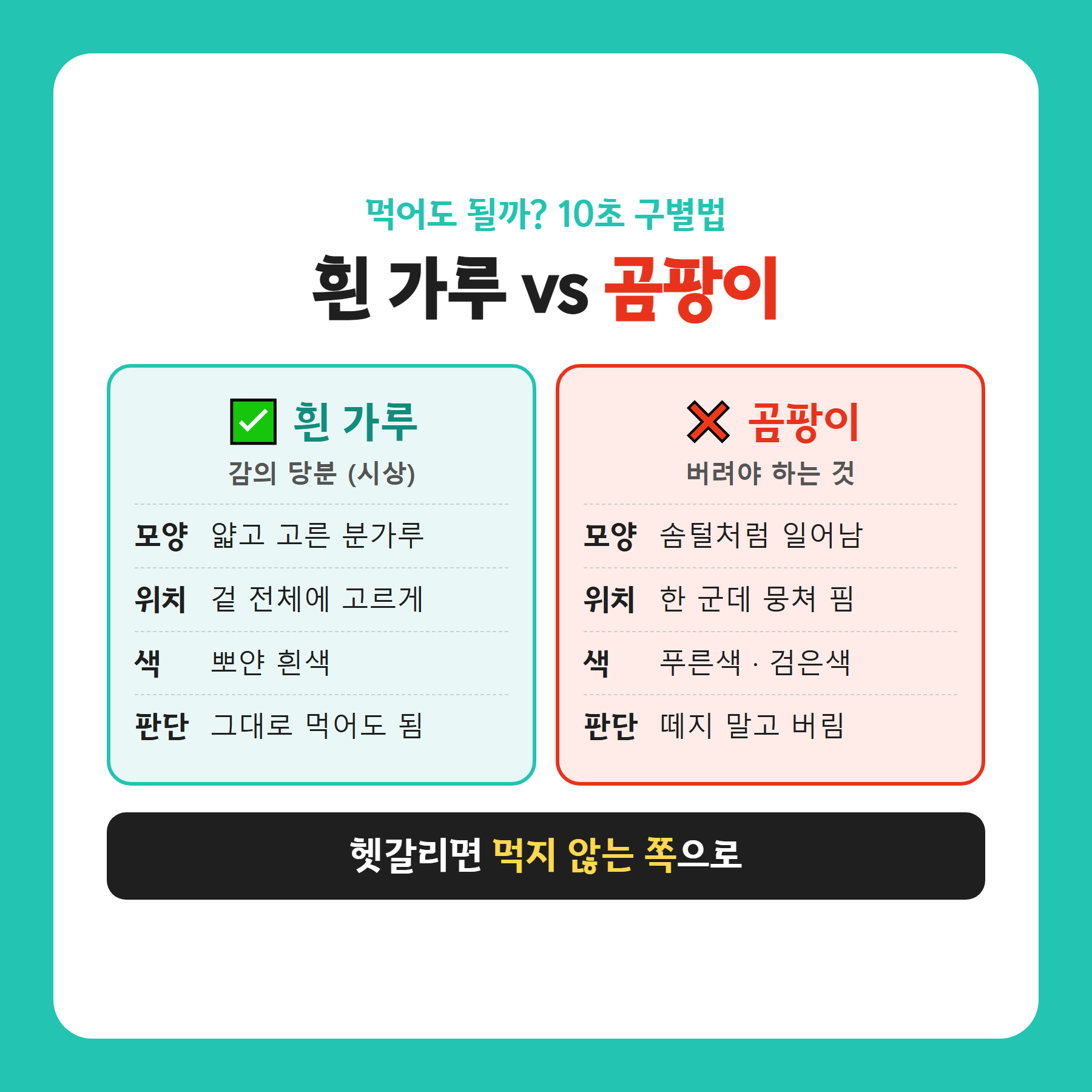 곶감 흰가루와 곰팡이 구별법