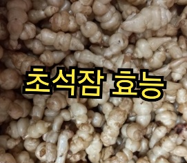 초석잠-효능