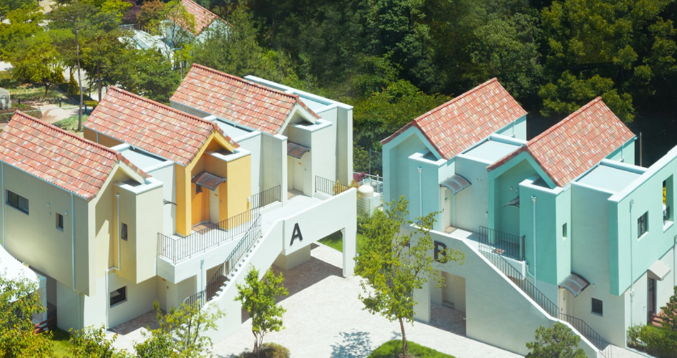 용인/새로운/인기/핫플/용/자작나/숲