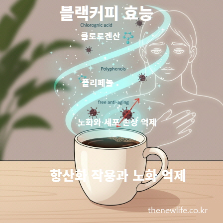 클로로겐산과 폴리페놀 성분이 활성산소를 억제하고 노화를 늦추는 블랙커피의 항산화 작용의 효능을 표현한 일러스트