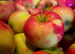 청송 사과 택배 주문 방법