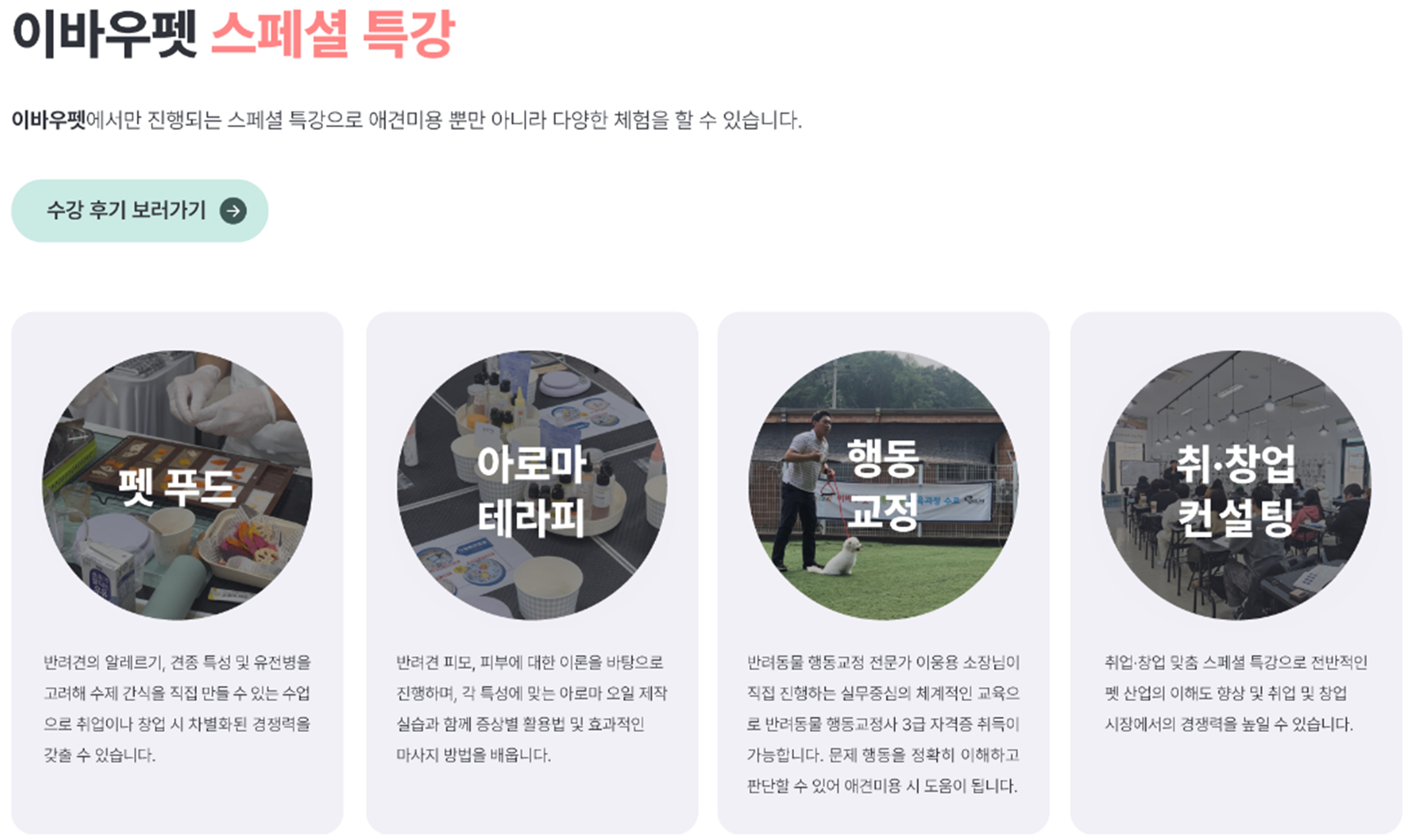 나주강아지미용