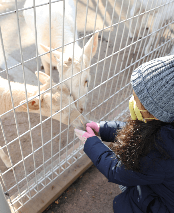 세종 베어트리파크