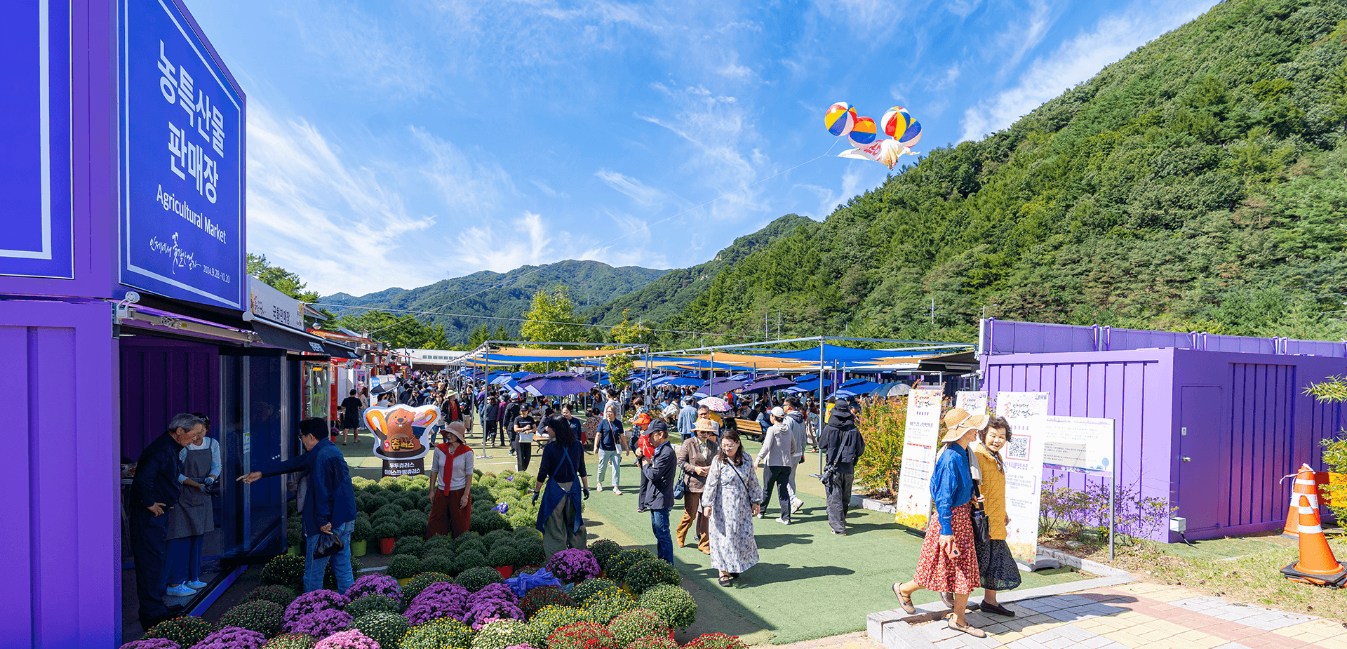 인제가을꽃축제