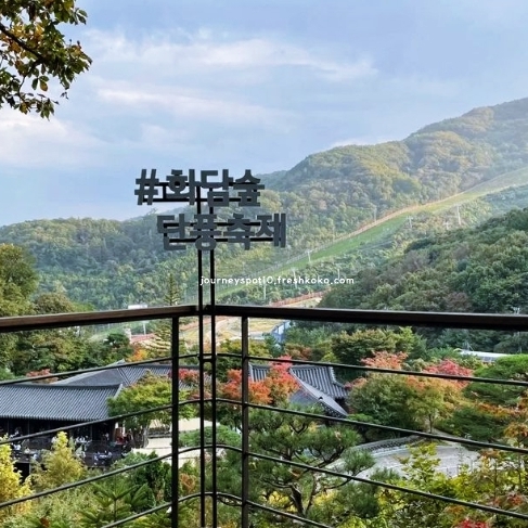 화담숲 단풍절정시기