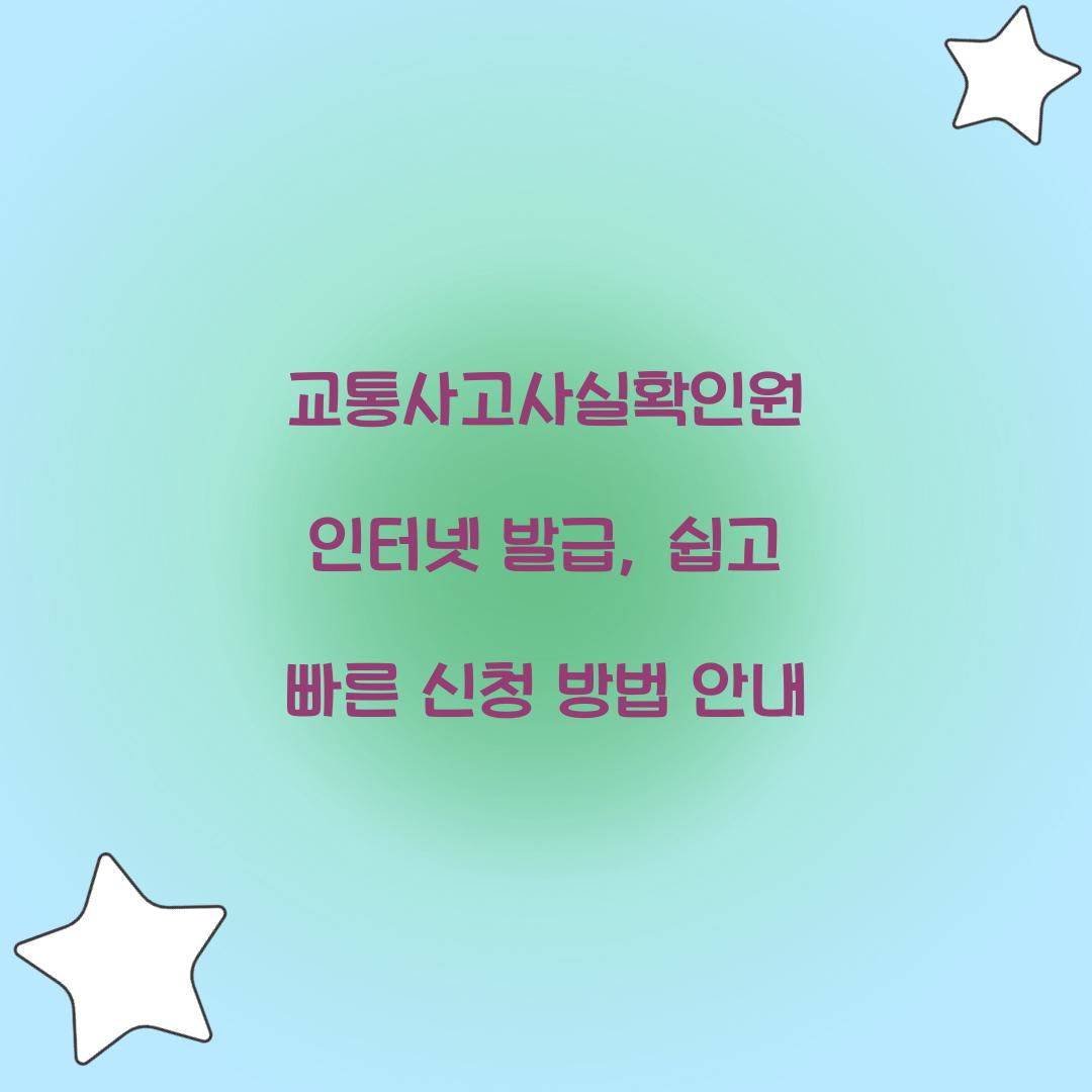 교통사고사실확인원 인터넷 발급