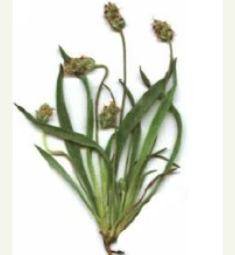 변비에 좋은 음식 변비해결방법