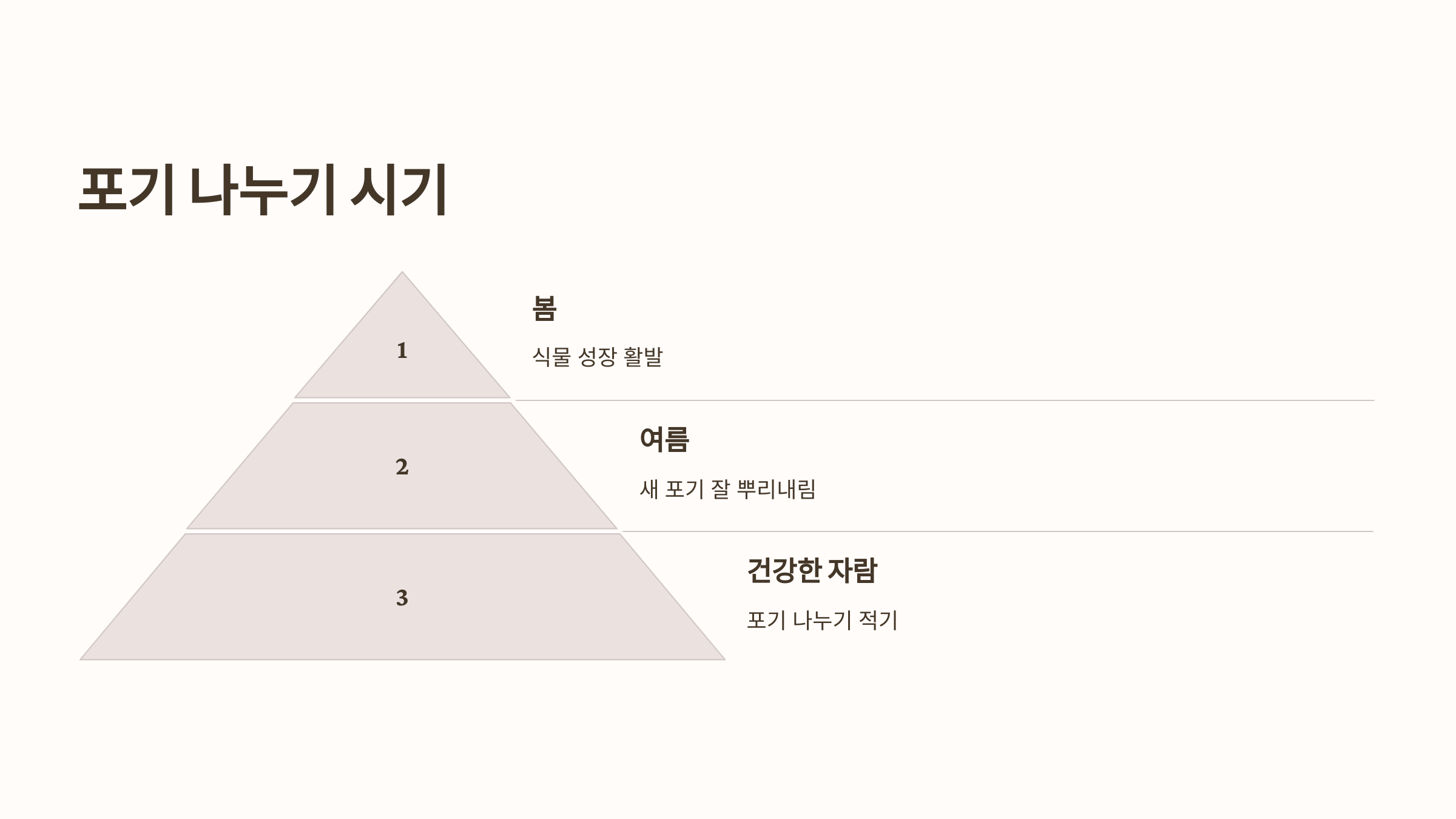 스파티필름과 관련된 사진입니다.