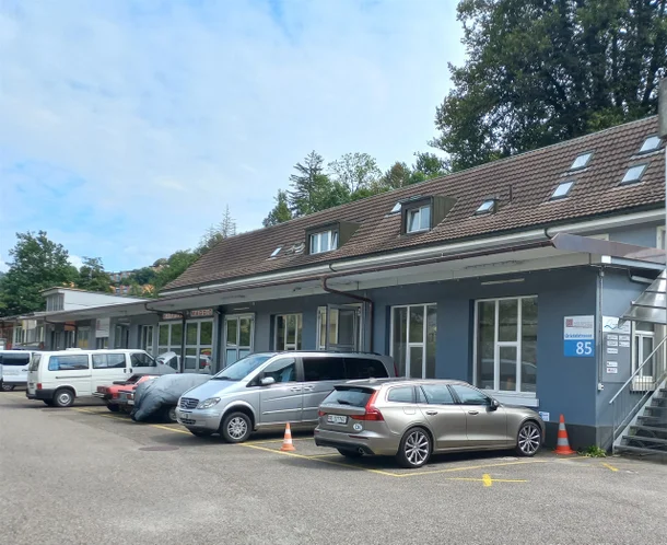 스위스조력자살 스위스디그니타스 디그니타스 스위스디그니타스 신청자격 디그니타스비용 조력자살비용 조력자살절차 조력자살신청조건