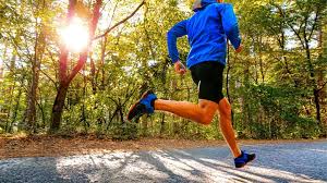 동물모양 러닝코스