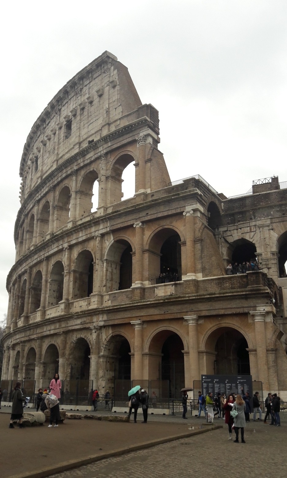 사실 손으로 세움 콜로세움