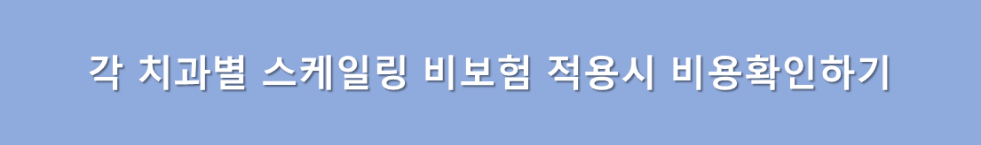 비보험 스케일링 비용확인