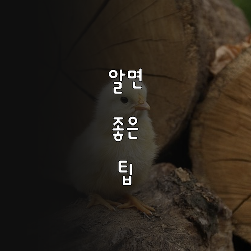 창원시 2025 산후조리비 50만원 ..