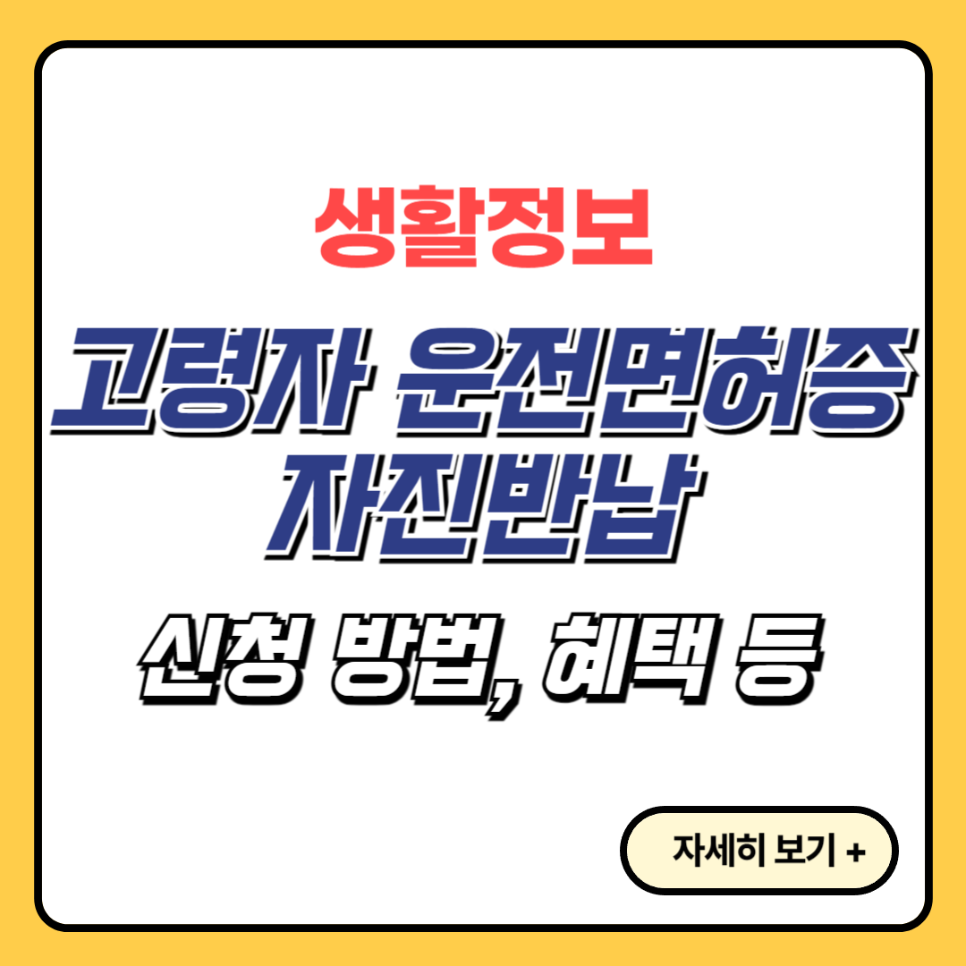 고령자-운전면허증-자진반납