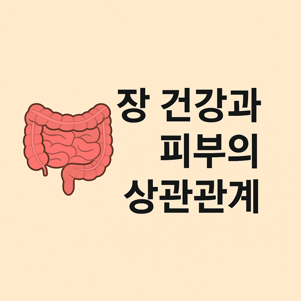 장건강과 피부의 상관관계