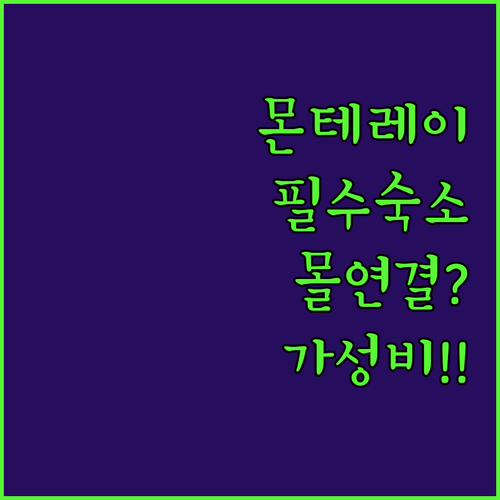 몬테레이 여행 출장 숙소 고르기 쇼핑..