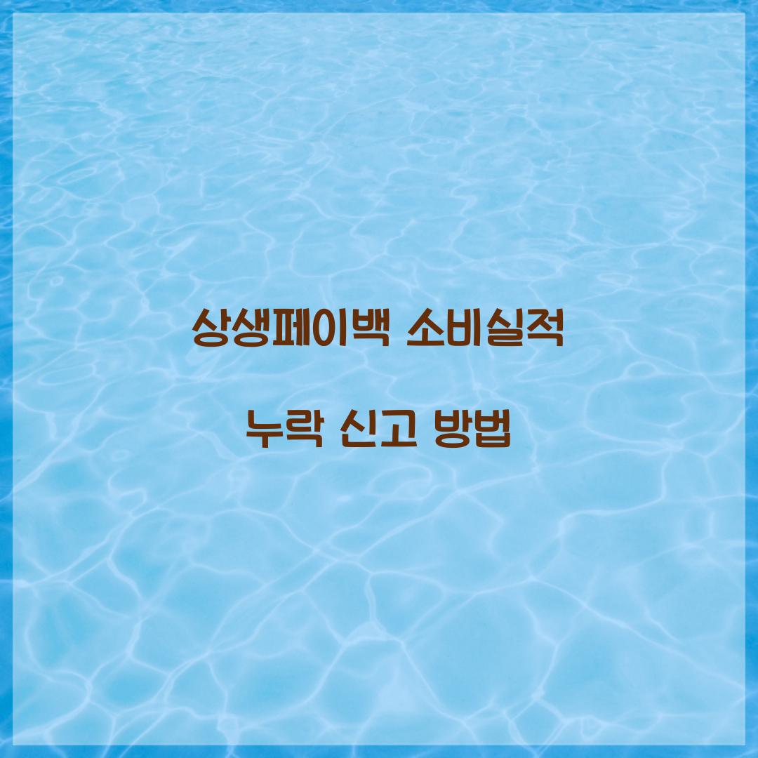 상생페이백 소비실적 누락 신고 방법