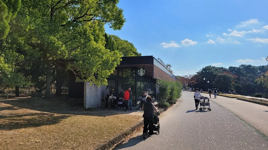 후쿠오카-스타벅스-매장-추천-오호리-공원점