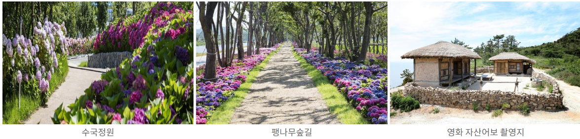 도초도