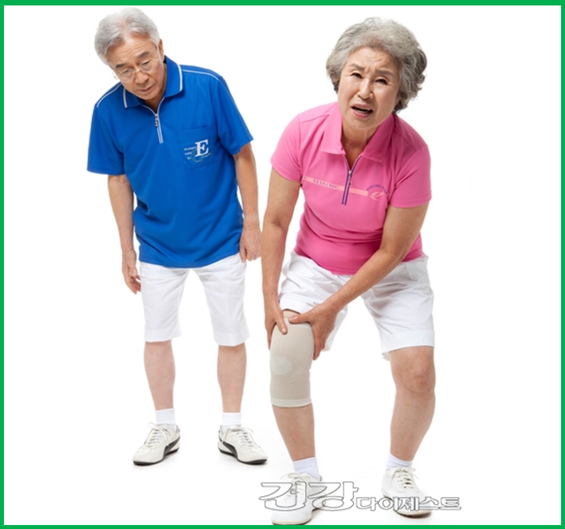 노인 관절 건강