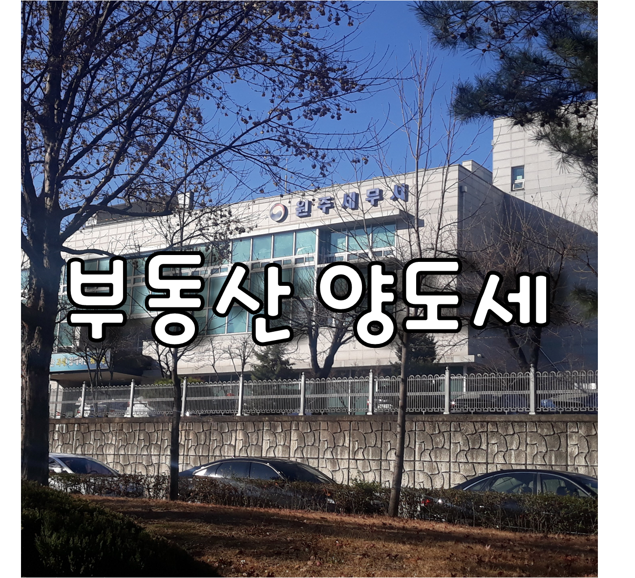 부동산양도세