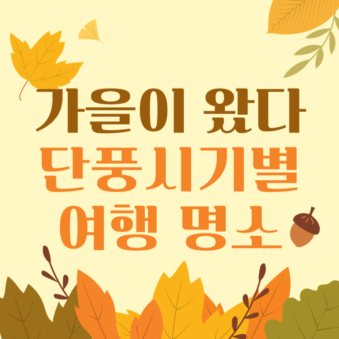 2024년 가을 단풍 시기