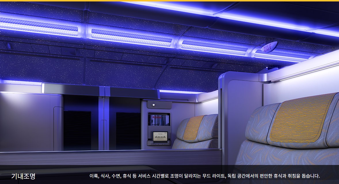 아시아나항공 비즈니스석