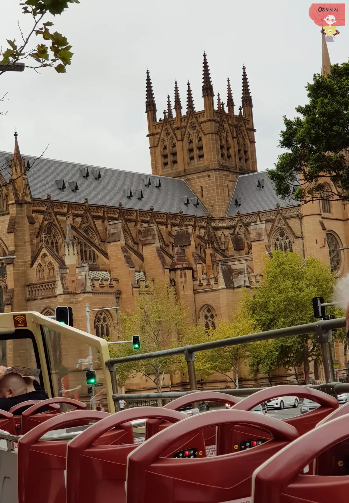 호주-시드니-세인트-메리-대성당