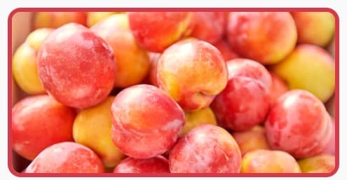 김천 자두 축제