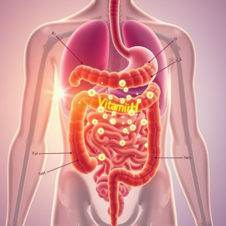 미녀의뮤신콜라겐-효과-내돈내산-후기