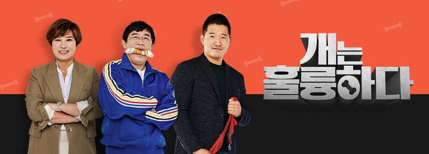 개는 훌륭하다 담비편