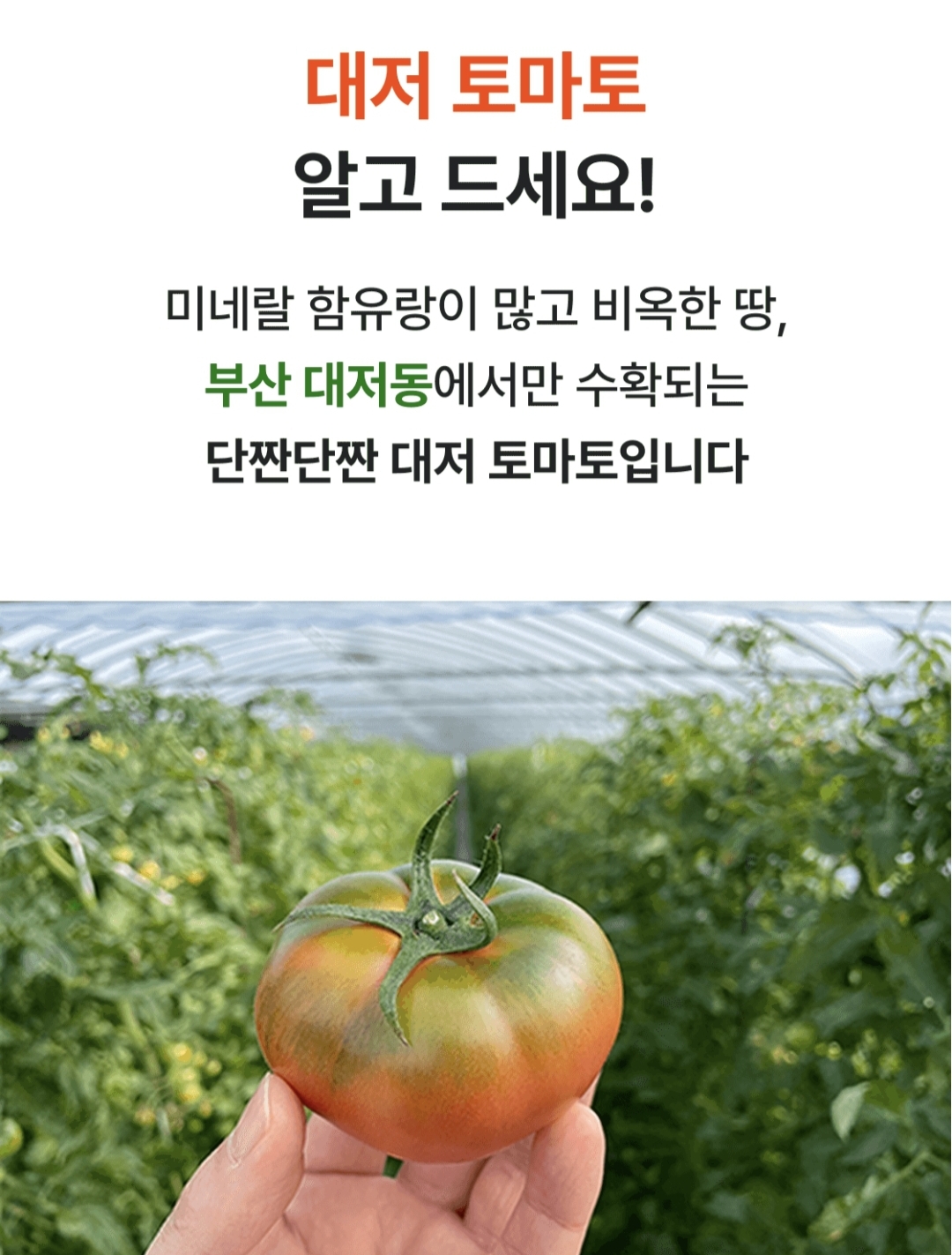 비트버니 퀴즈 2월 15일 정답 ㄷㅈㅌㅁㅌ