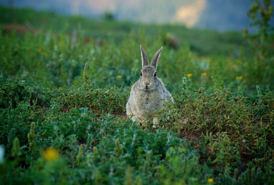 대도시가 아닌 소규모 도시, 더 특별한 이유 7가지