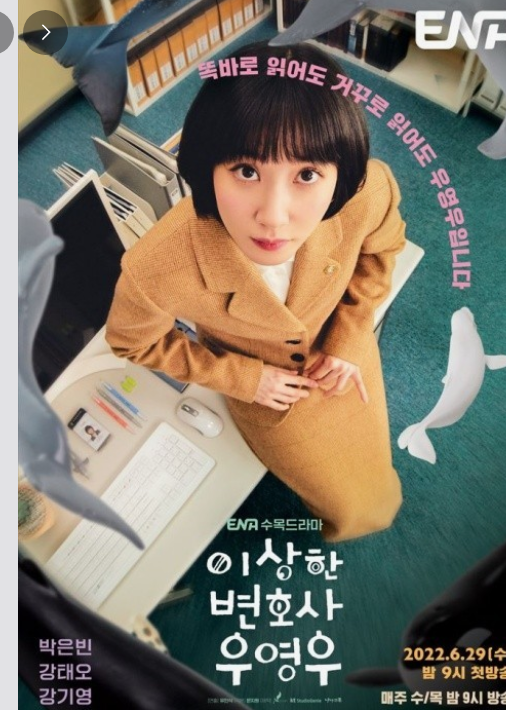 드라마 리뷰 <이상한 변호사 우영우>