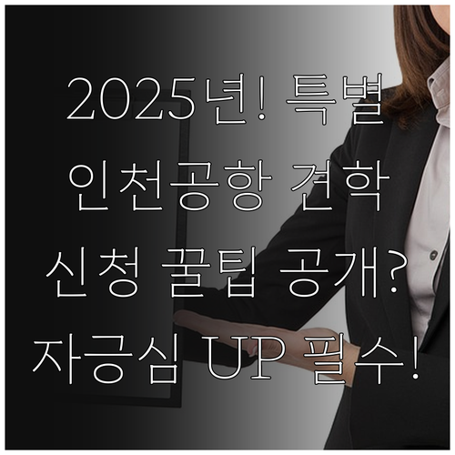 국민 자긍심 고취 2025 인천공항 ..