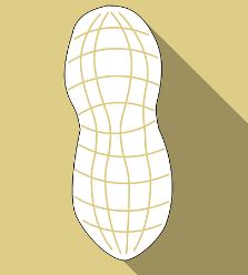 땅콩 수확시기 심는시기 심는 방법