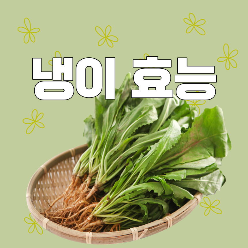 냉이 효능