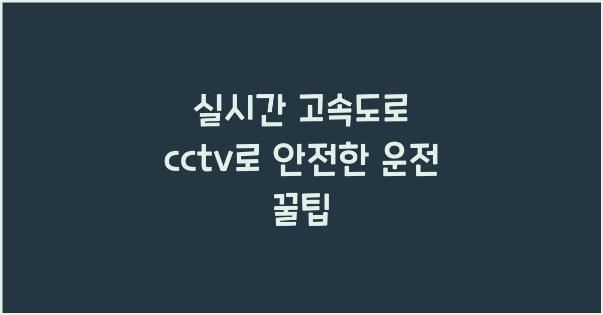 실시간 고속도로 cctv