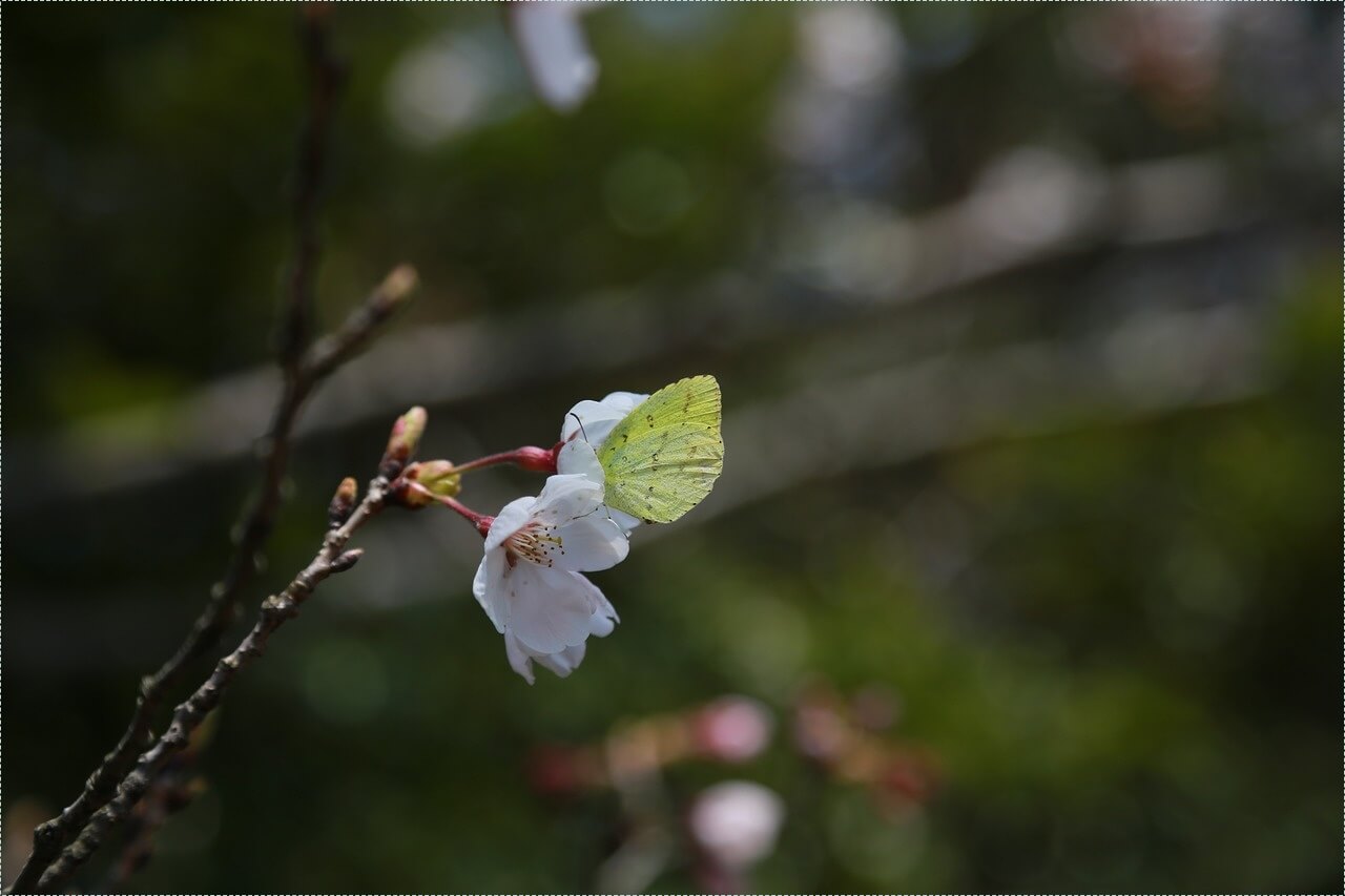 1억 은행 예금이자