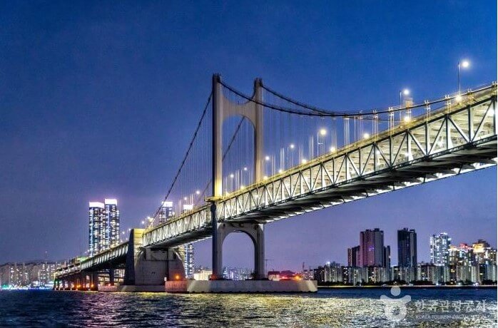 2024 부산 여름축제(7월 축제)